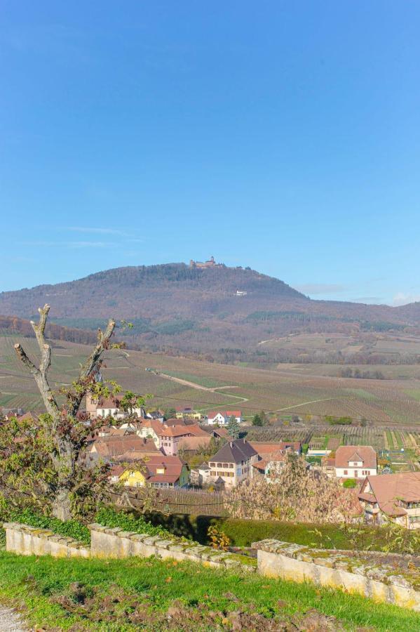 Gite La Rodernelle - Sauna Privatif - Climatisation - Vue Sur Le Chateau Du Haut Koenigsbourg Bagian luar foto