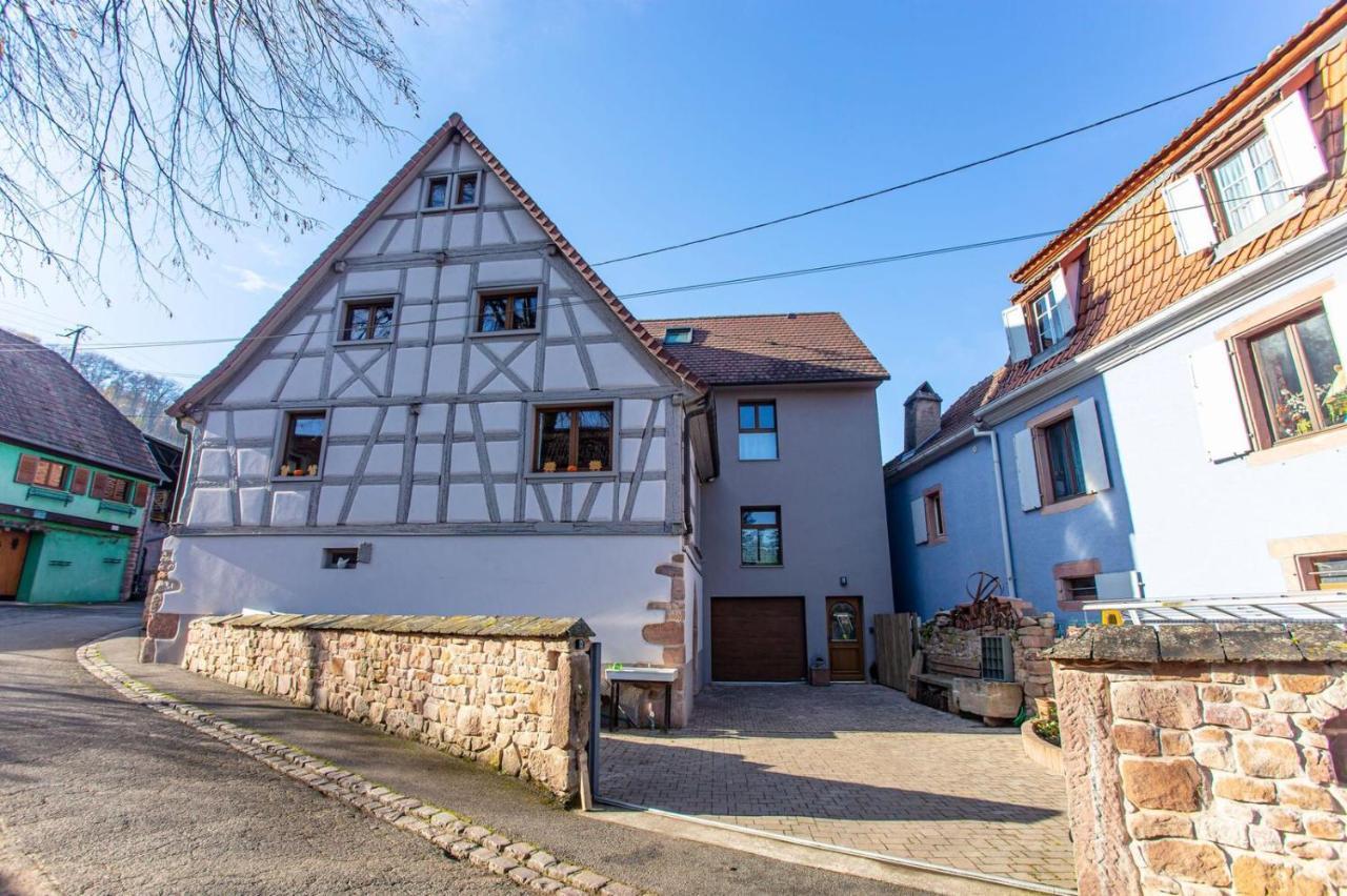Gite La Rodernelle - Sauna Privatif - Climatisation - Vue Sur Le Chateau Du Haut Koenigsbourg Bagian luar foto
