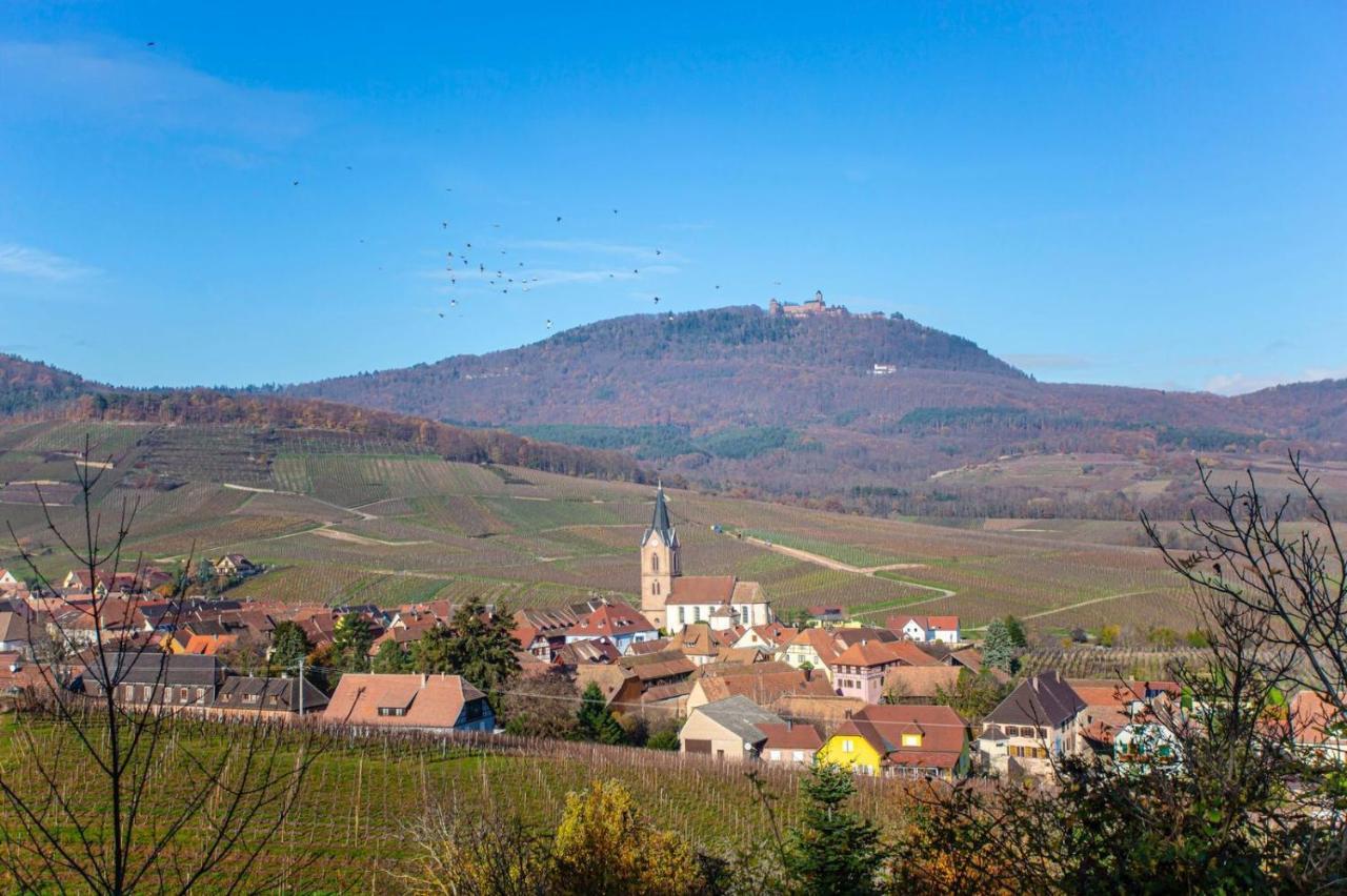 Gite La Rodernelle - Sauna Privatif - Climatisation - Vue Sur Le Chateau Du Haut Koenigsbourg Bagian luar foto
